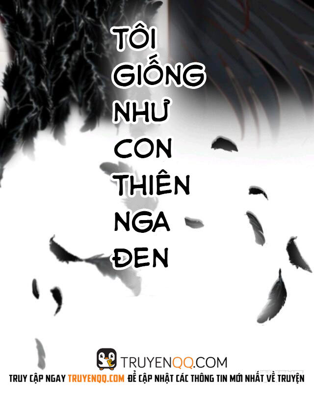 Thiên Nga Đen Chap 0 - Next Chap 1