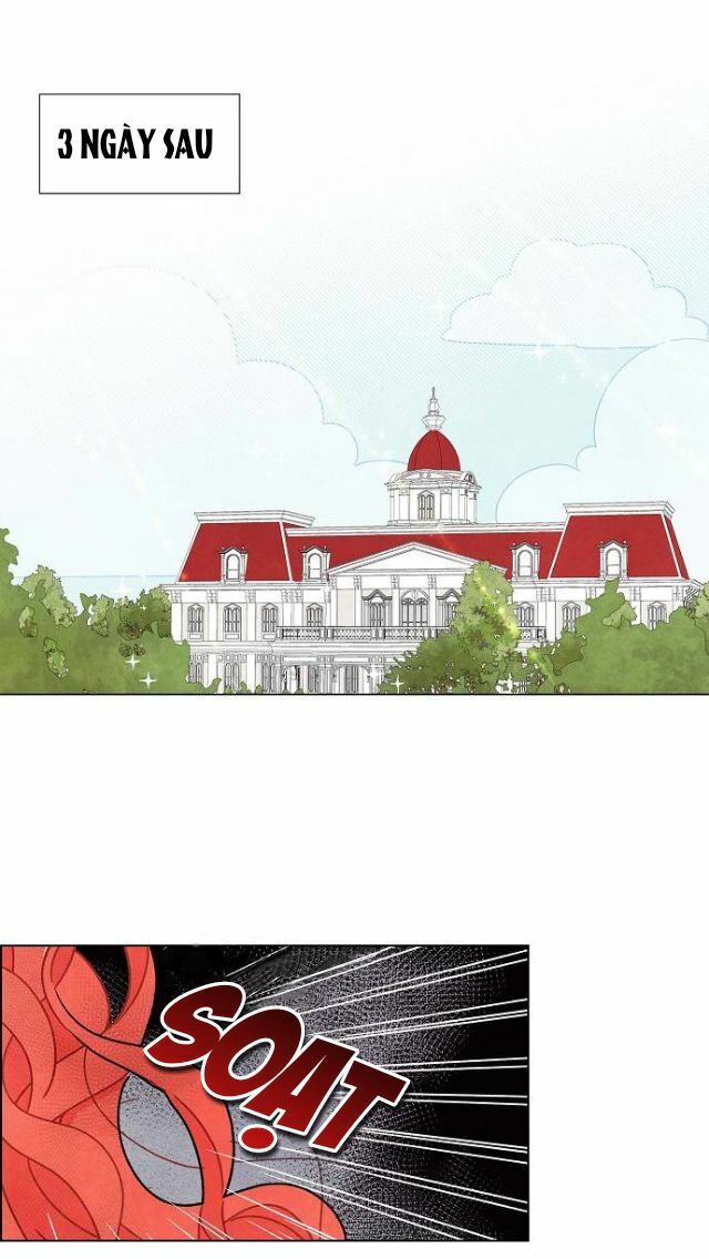 Tôi Đã Cướp Mất Đêm Đầu Tiên Của Nam Chính Chap 14 - Next Chap 15