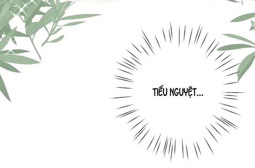Em Là Bạc Hà Mèo Của Tôi Chap 39 - Next Chap 40