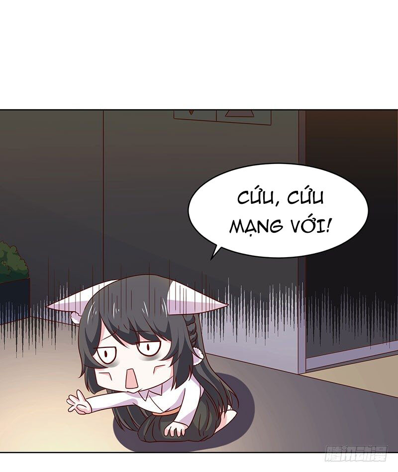 Quy Luật Năm Bản Mệnh Của Hồ Ly Chap 17 - Next Chap 18