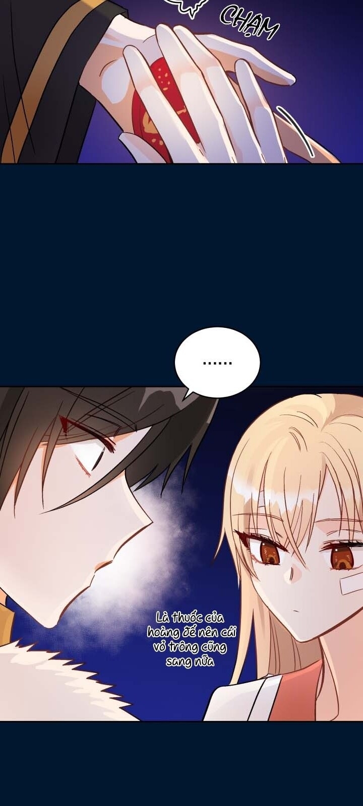 Ái Phi, Dao Của Nàng Rơi Rồi Chap 30 - Next Chap 31