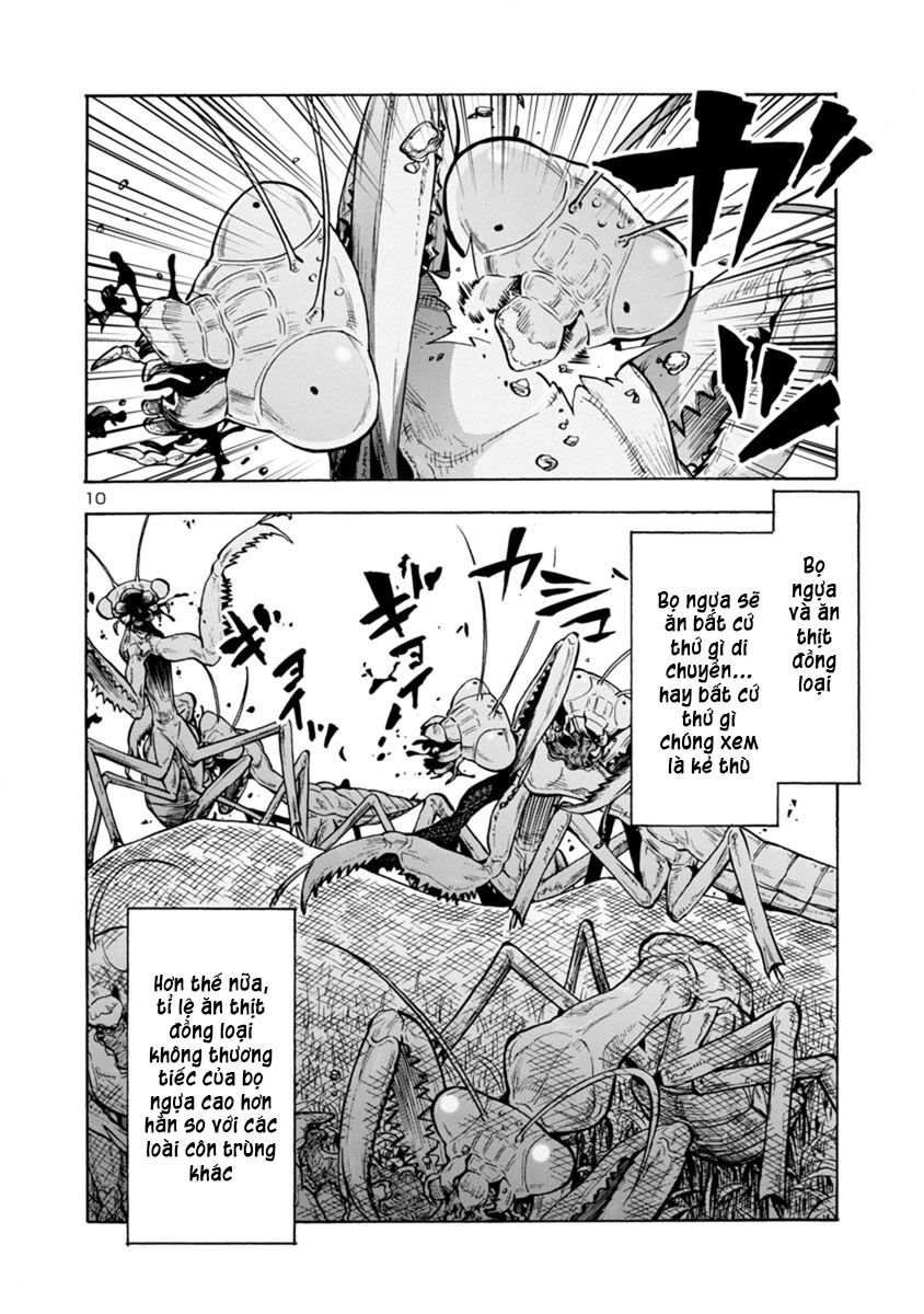 Kyochuu Rettou - Đảo Côn Trùng Chap 38.5 - Next Chap 39