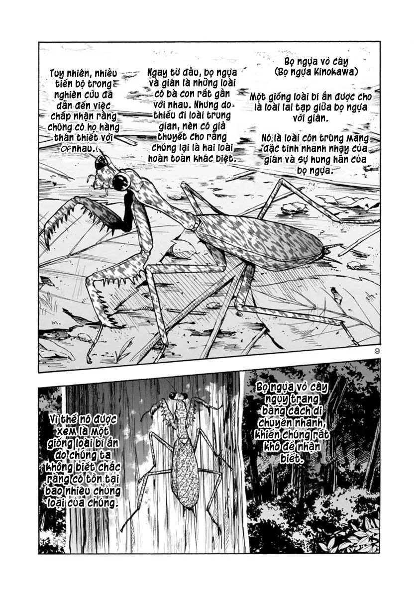 Kyochuu Rettou - Đảo Côn Trùng Chap 38.5 - Next Chap 39