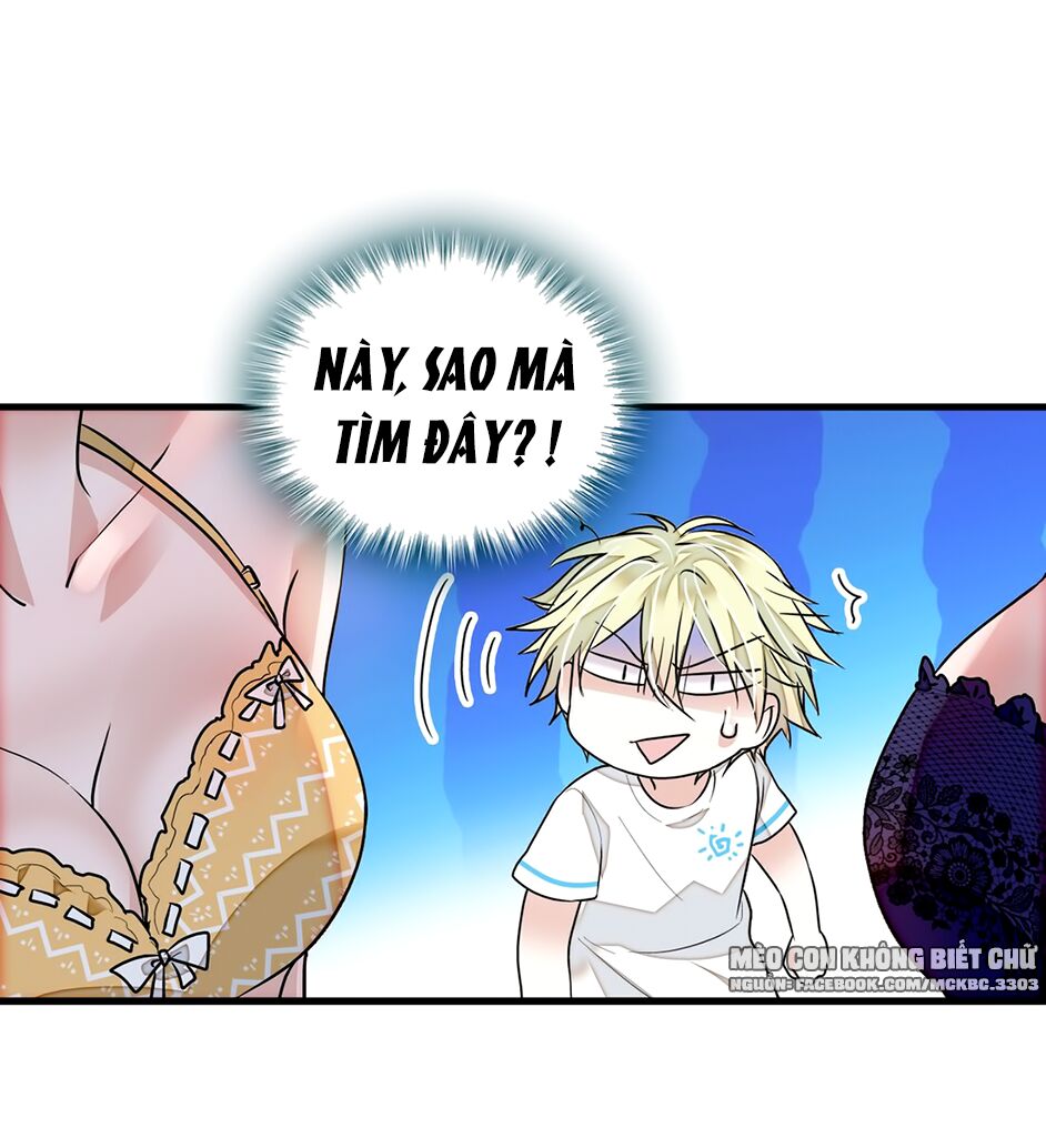 Long Phượng Phiên Chuyển Chap 27 - Next Chap 28