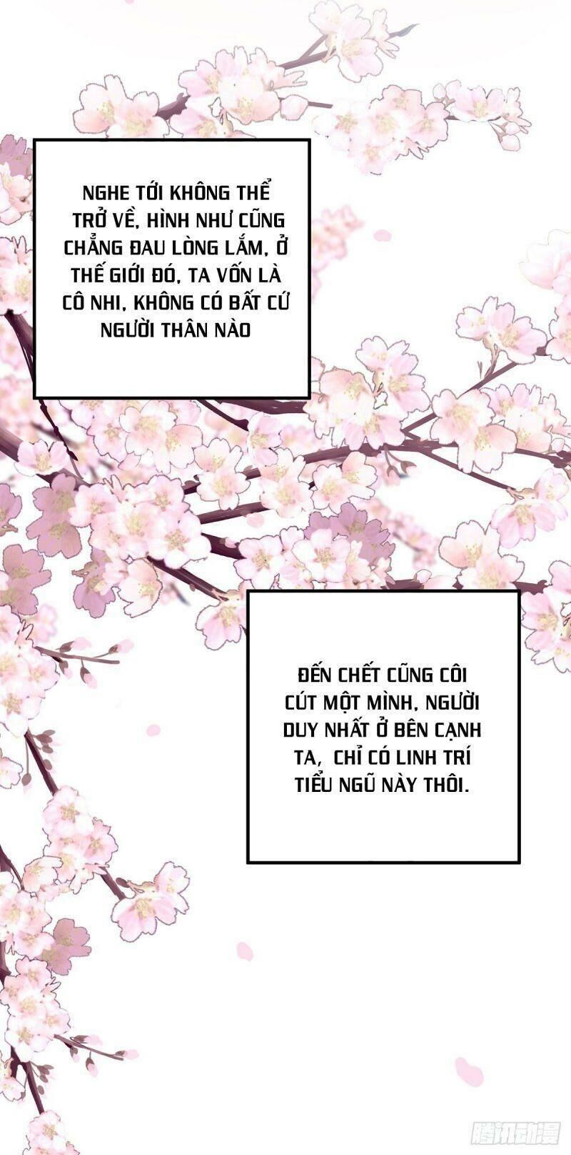 Ta Ở Dị Giới Nuôi Dưỡng Nam Thần: Thần Y Cửu Tiểu Thư Chap 14 - Next Chap 15