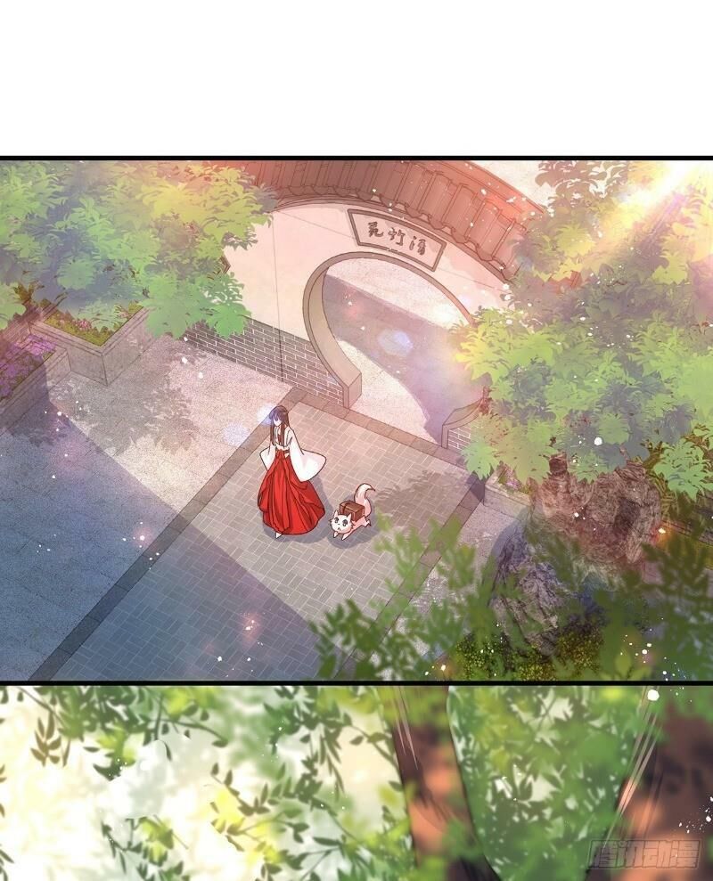 Ta Ở Dị Giới Nuôi Dưỡng Nam Thần: Thần Y Cửu Tiểu Thư Chap 17 - Next Chap 18