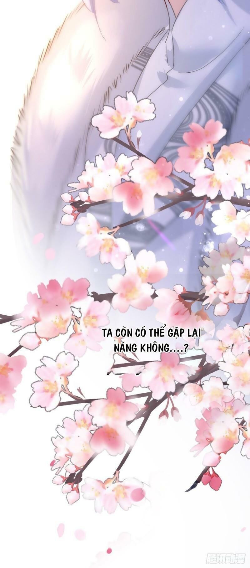 Ta Ở Dị Giới Nuôi Dưỡng Nam Thần: Thần Y Cửu Tiểu Thư Chap 20 - Next Chap 21
