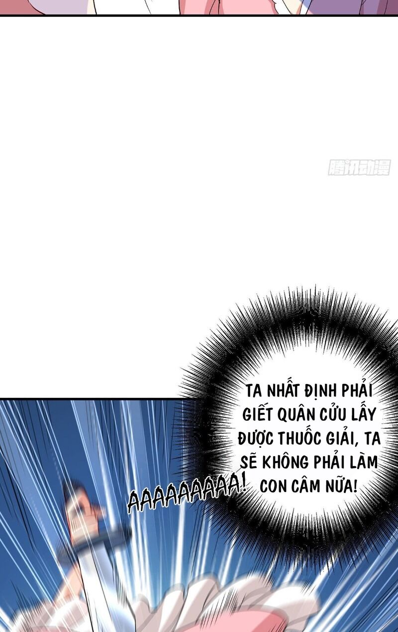 Ta Ở Dị Giới Nuôi Dưỡng Nam Thần: Thần Y Cửu Tiểu Thư Chap 22 - Next Chap 23
