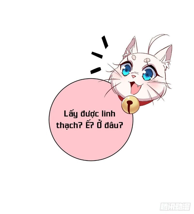 Ta Ở Dị Giới Nuôi Dưỡng Nam Thần: Thần Y Cửu Tiểu Thư Chap 23 - Next Chap 24