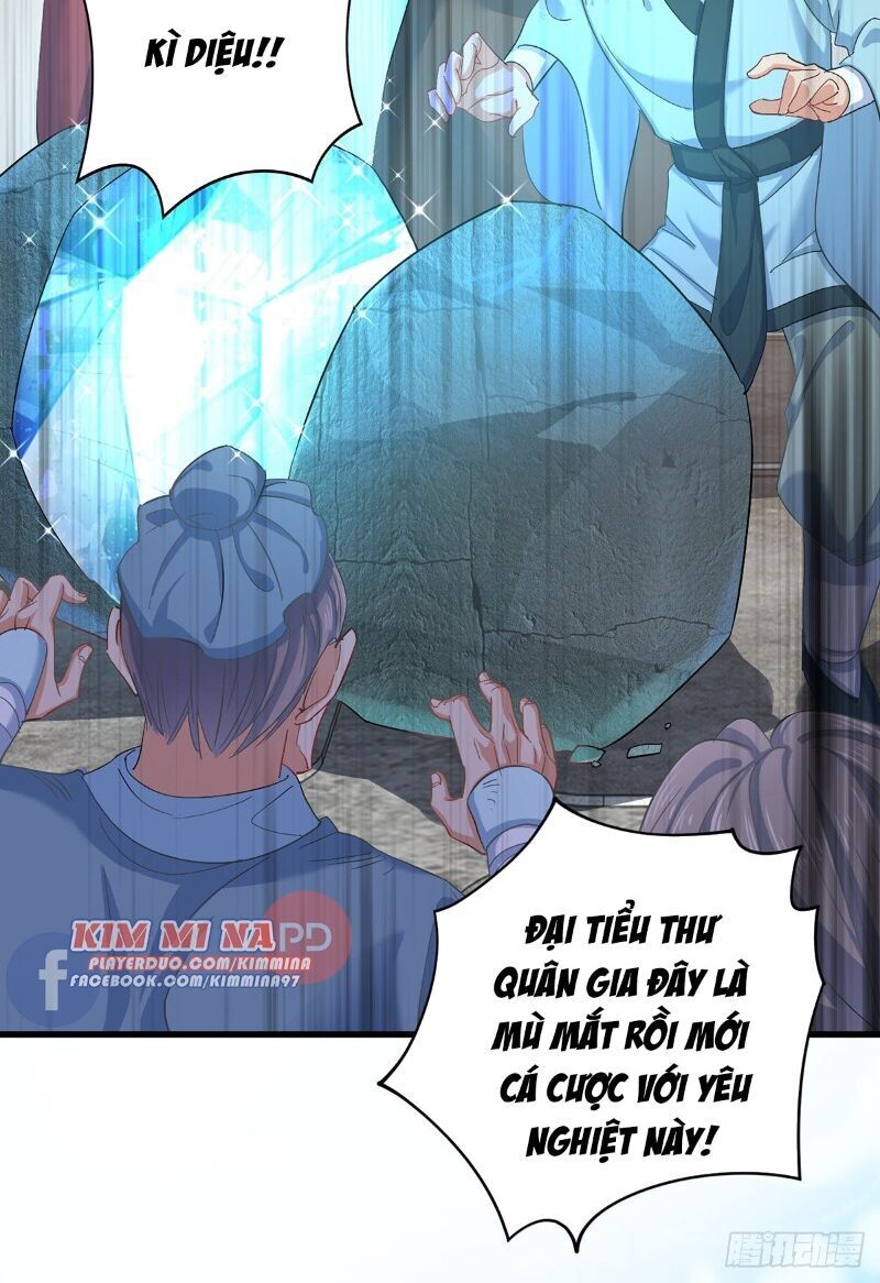Ta Ở Dị Giới Nuôi Dưỡng Nam Thần: Thần Y Cửu Tiểu Thư Chap 27 - Next Chap 28