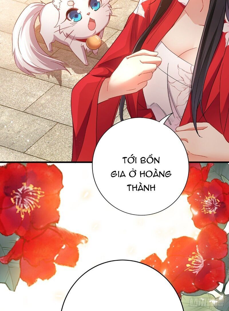 Ta Ở Dị Giới Nuôi Dưỡng Nam Thần: Thần Y Cửu Tiểu Thư Chap 28 - Next Chap 29