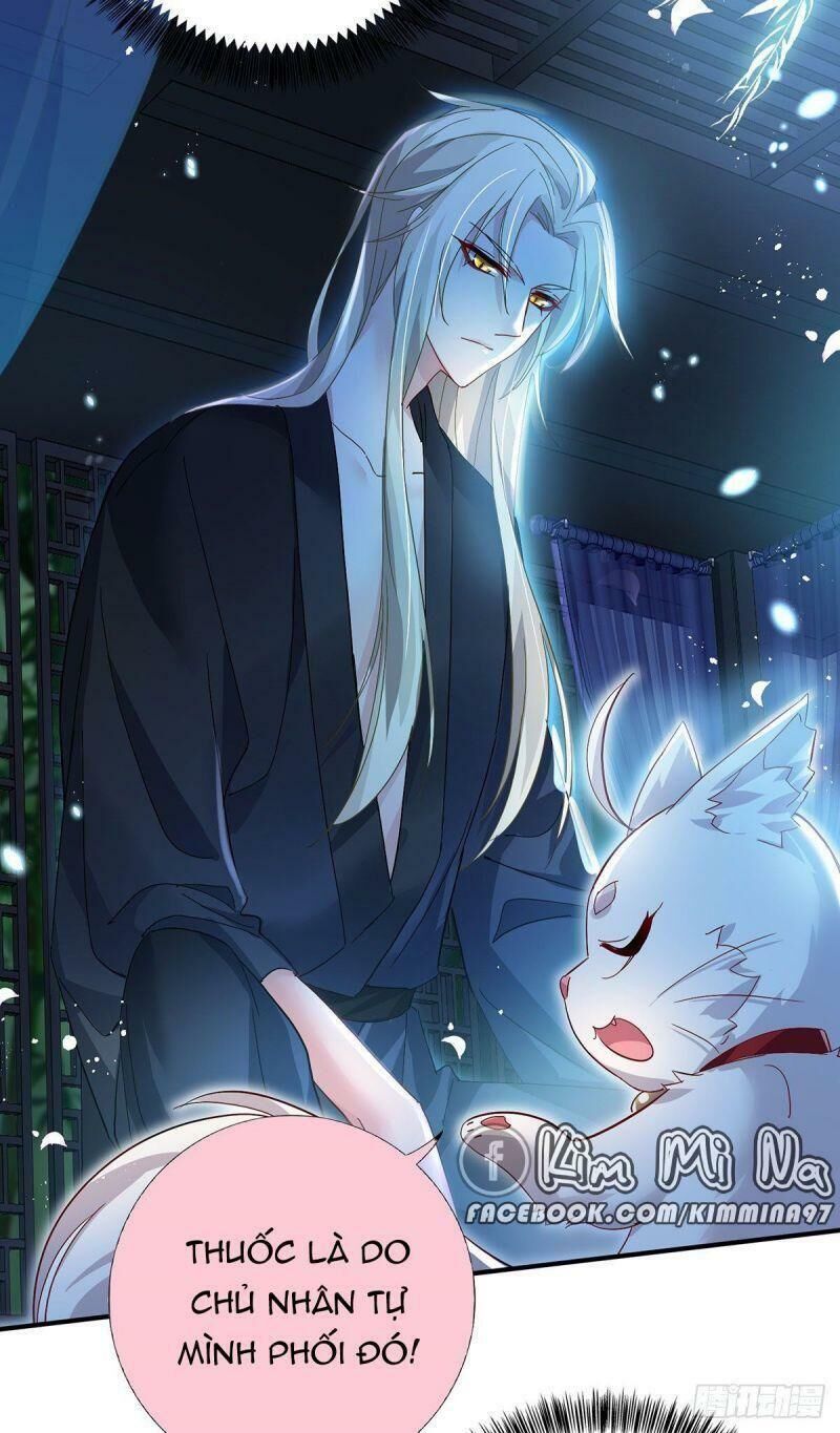 Ta Ở Dị Giới Nuôi Dưỡng Nam Thần: Thần Y Cửu Tiểu Thư Chap 34 - Next Chap 35