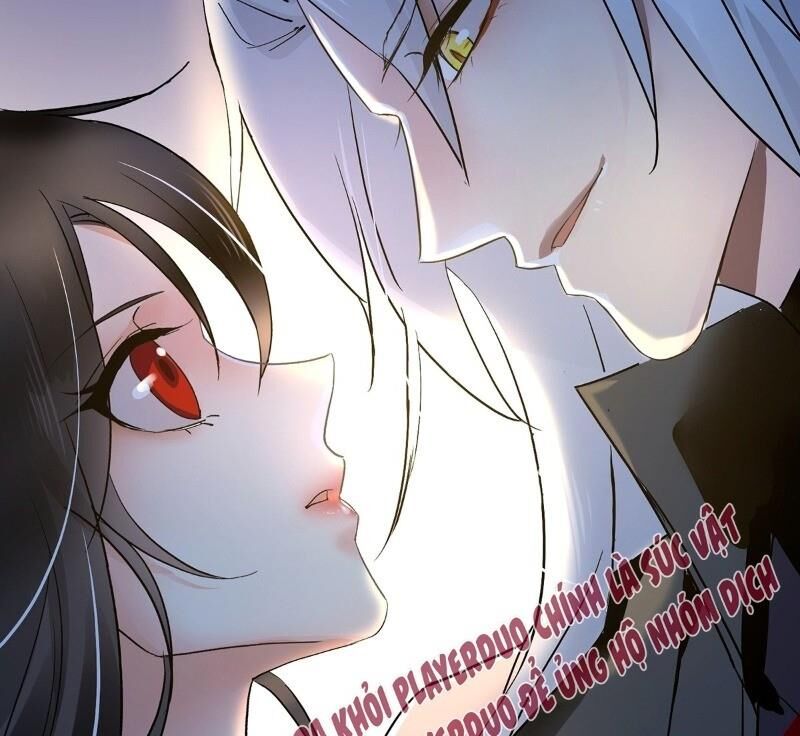 Ta Ở Dị Giới Nuôi Dưỡng Nam Thần: Thần Y Cửu Tiểu Thư Chap 6 - Next Chap 7