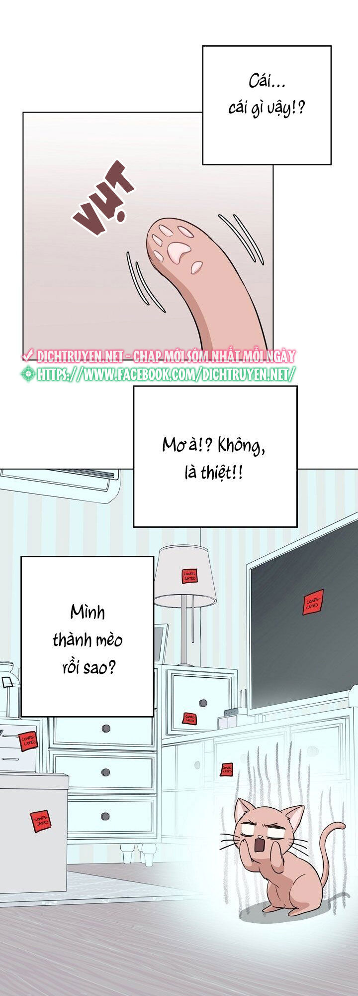 Cuộc Sống Kỳ Thú Chap 1 - Next Chap 2