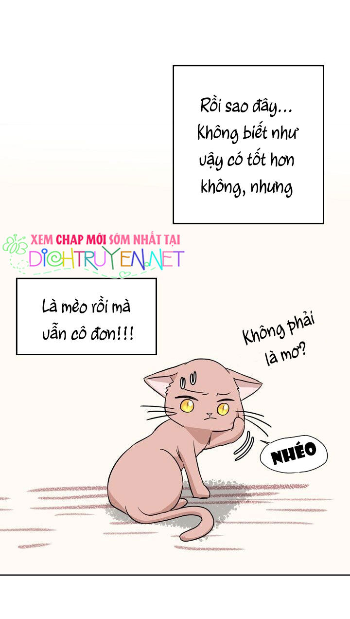 Cuộc Sống Kỳ Thú Chap 1 - Next Chap 2