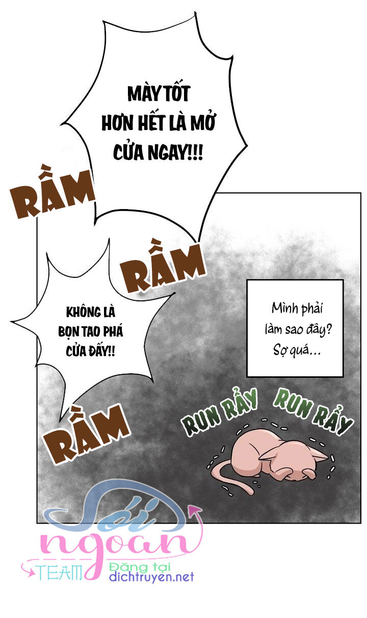 Cuộc Sống Kỳ Thú Chap 1 - Next Chap 2