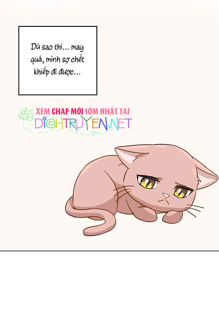 Cuộc Sống Kỳ Thú Chap 1 - Next Chap 2