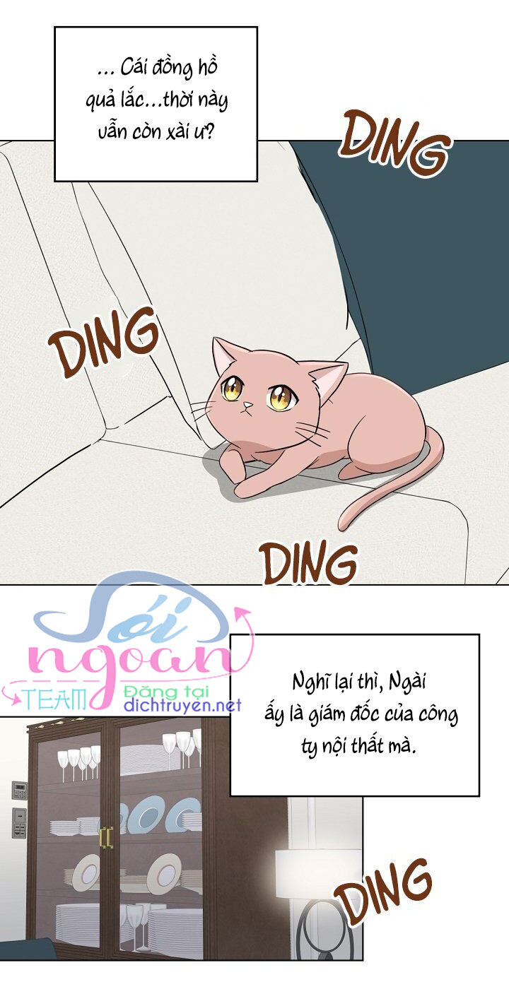 Cuộc Sống Kỳ Thú Chap 1 - Next Chap 2