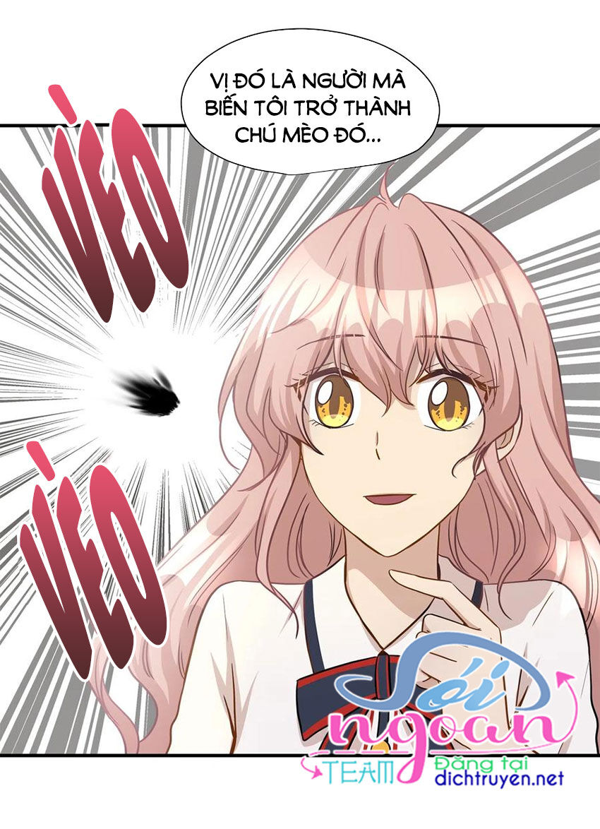 Cuộc Sống Kỳ Thú Chap 13 - Next Chap 14