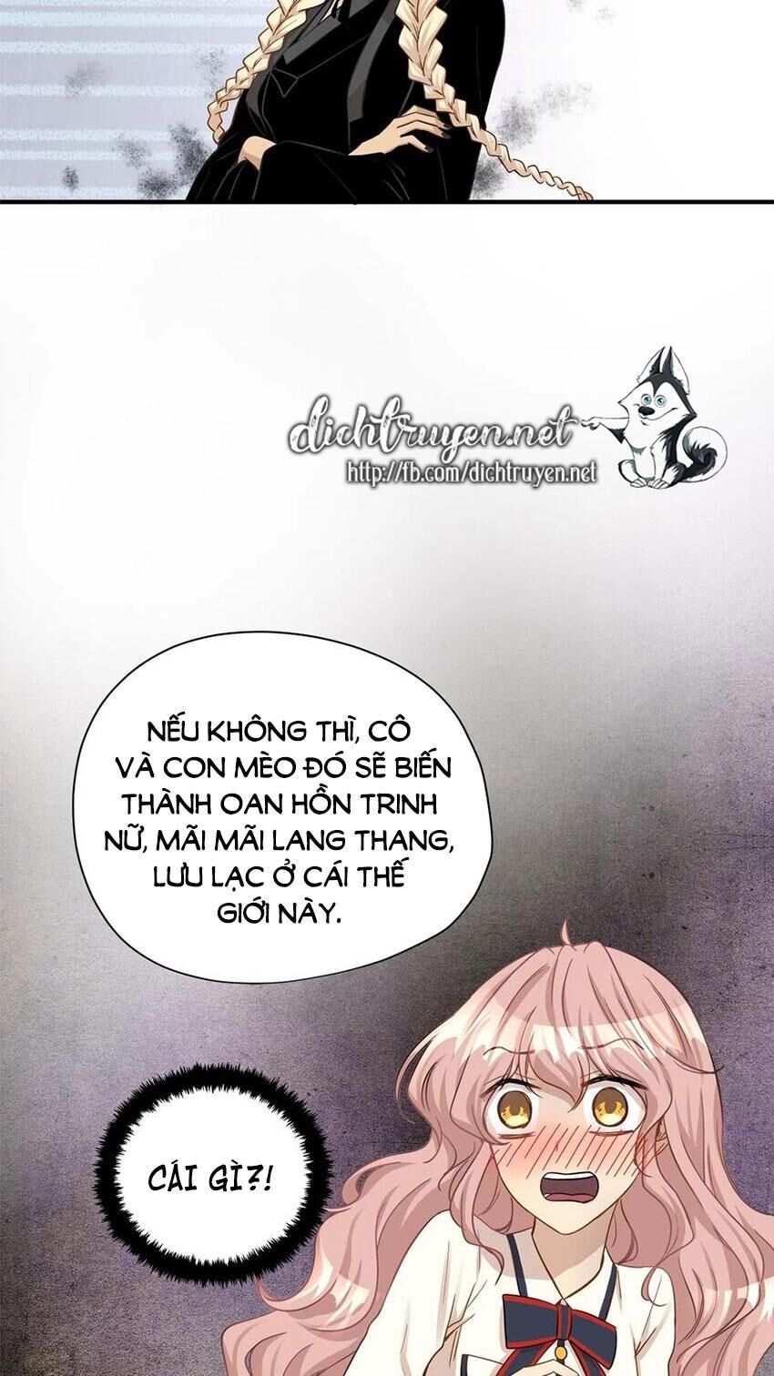 Cuộc Sống Kỳ Thú Chap 14 - Next Chap 15