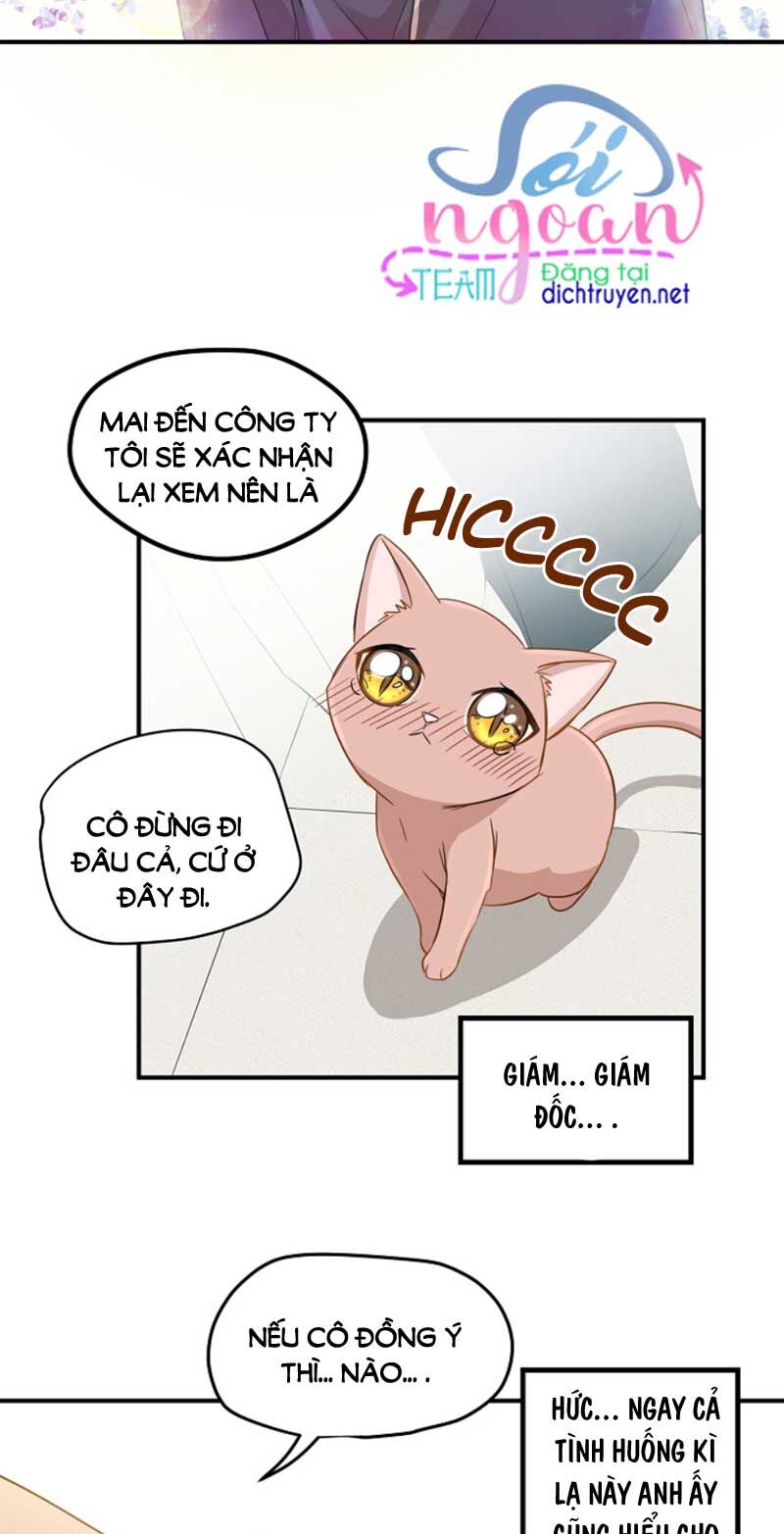 Cuộc Sống Kỳ Thú Chap 3 - Next Chap 4