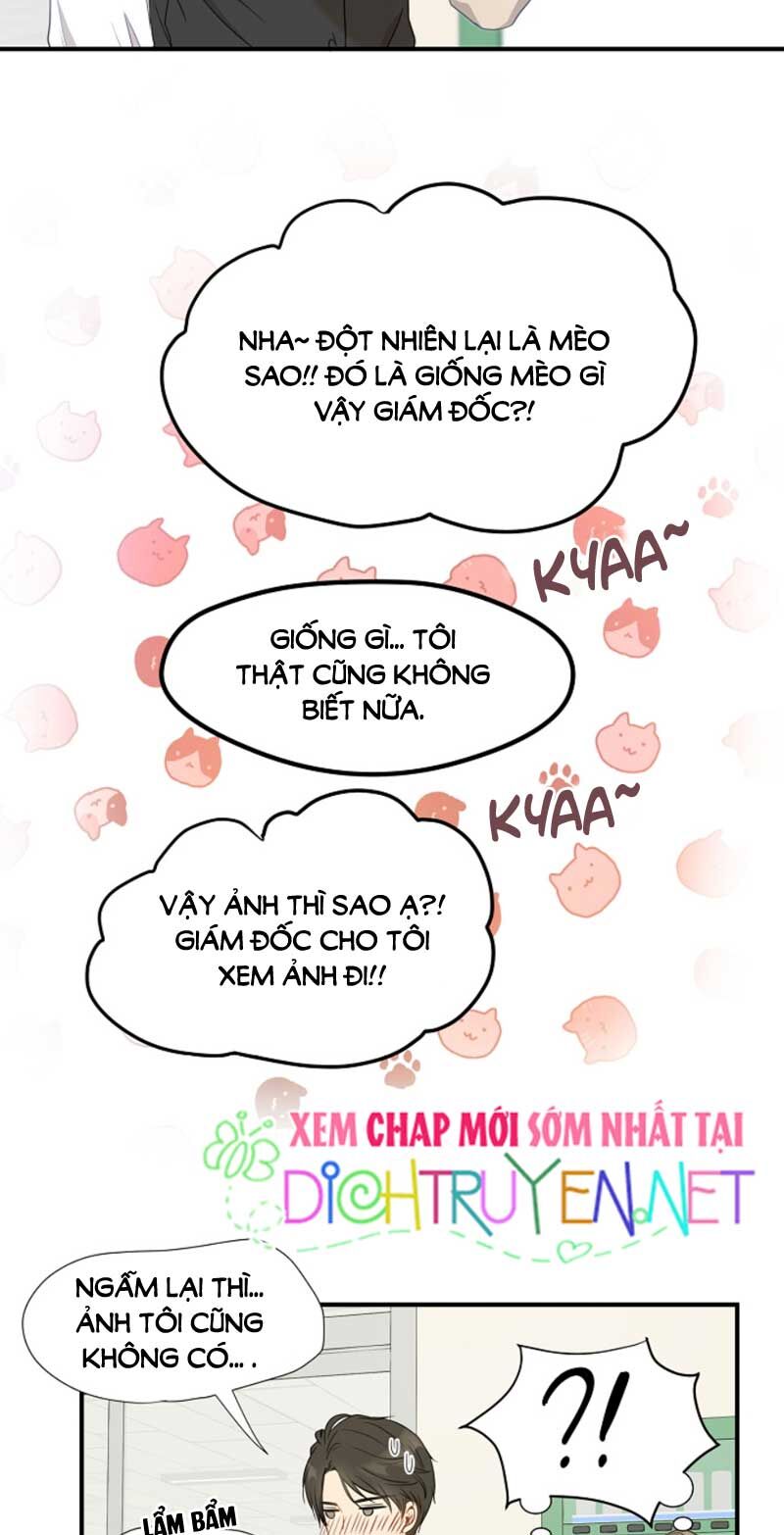 Cuộc Sống Kỳ Thú Chap 3 - Next Chap 4