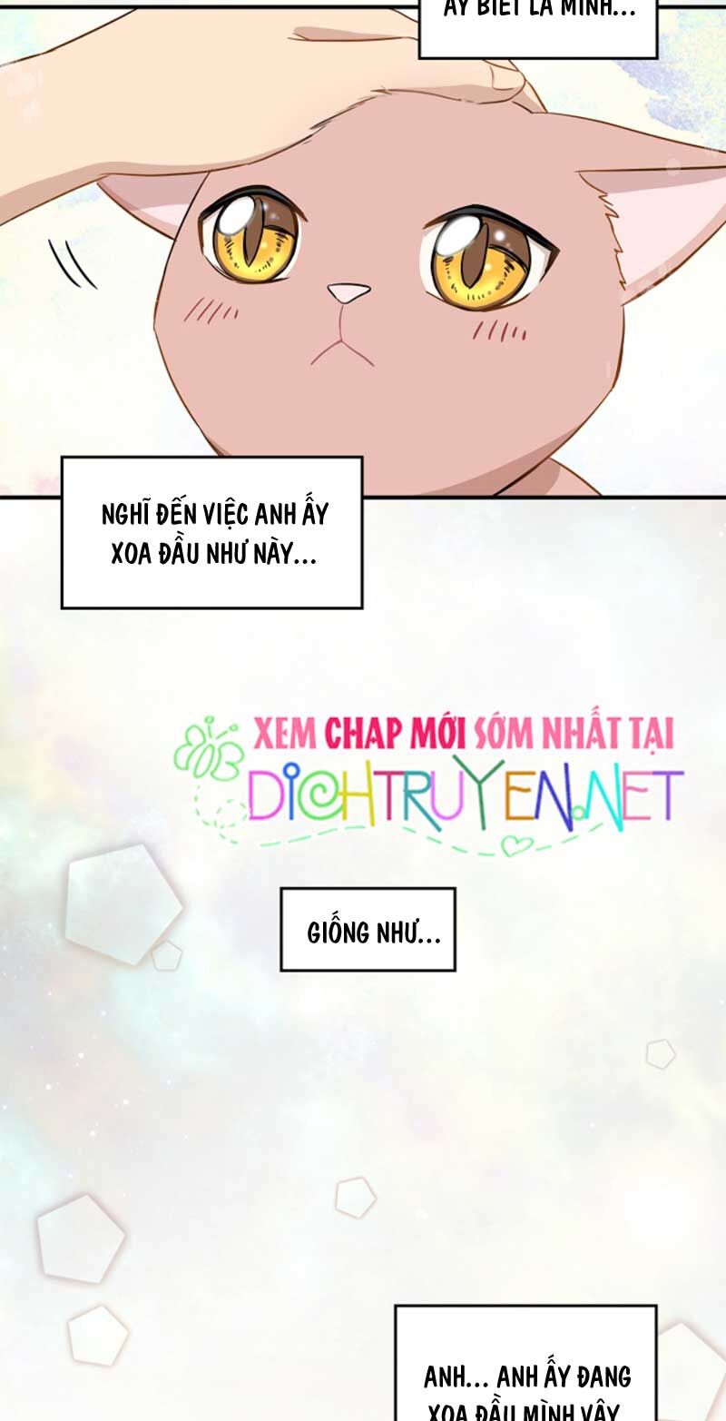 Cuộc Sống Kỳ Thú Chap 3 - Next Chap 4