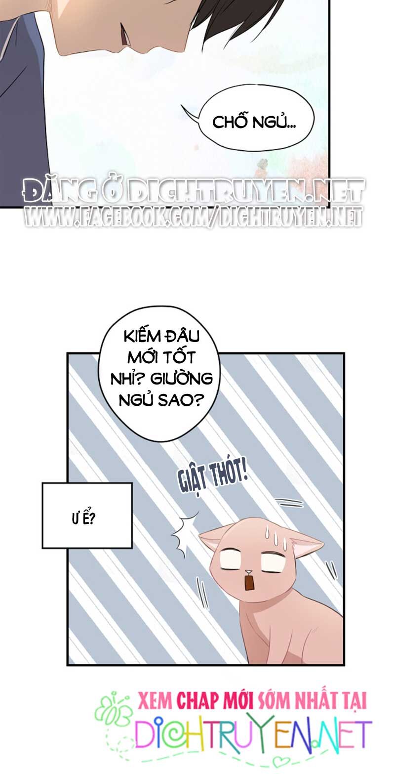 Cuộc Sống Kỳ Thú Chap 3 - Next Chap 4