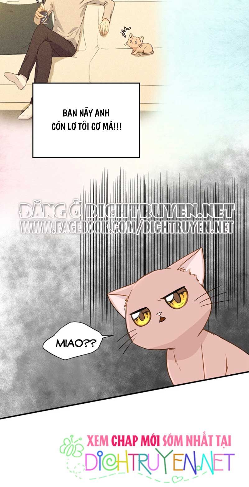 Cuộc Sống Kỳ Thú Chap 3 - Next Chap 4