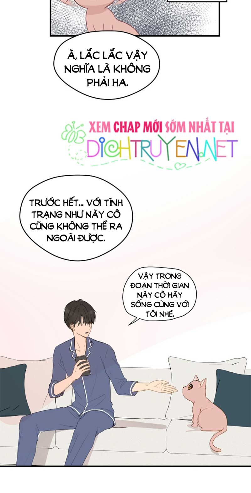 Cuộc Sống Kỳ Thú Chap 3 - Next Chap 4