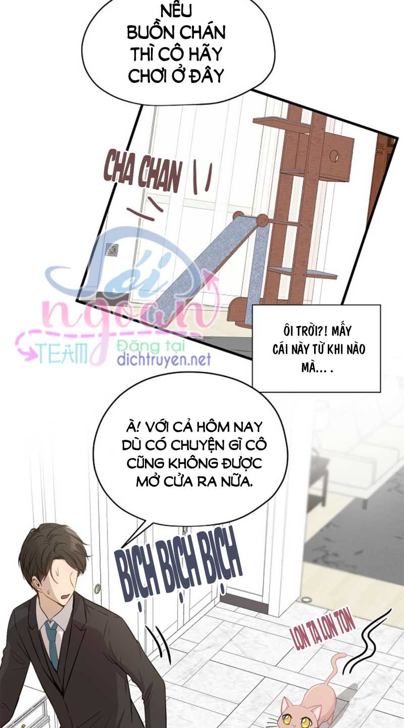 Cuộc Sống Kỳ Thú Chap 9 - Next Chap 10