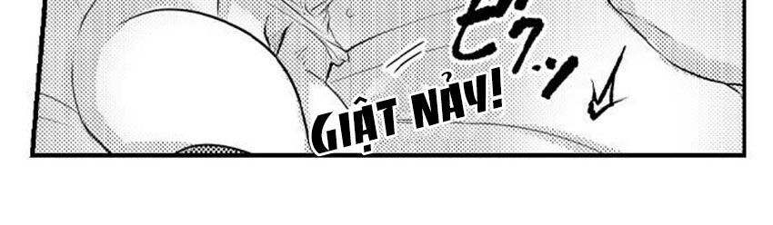Trêu Ghẹo 'Gấu' Nhà Tôi! Chap 15 - Next Chap 16