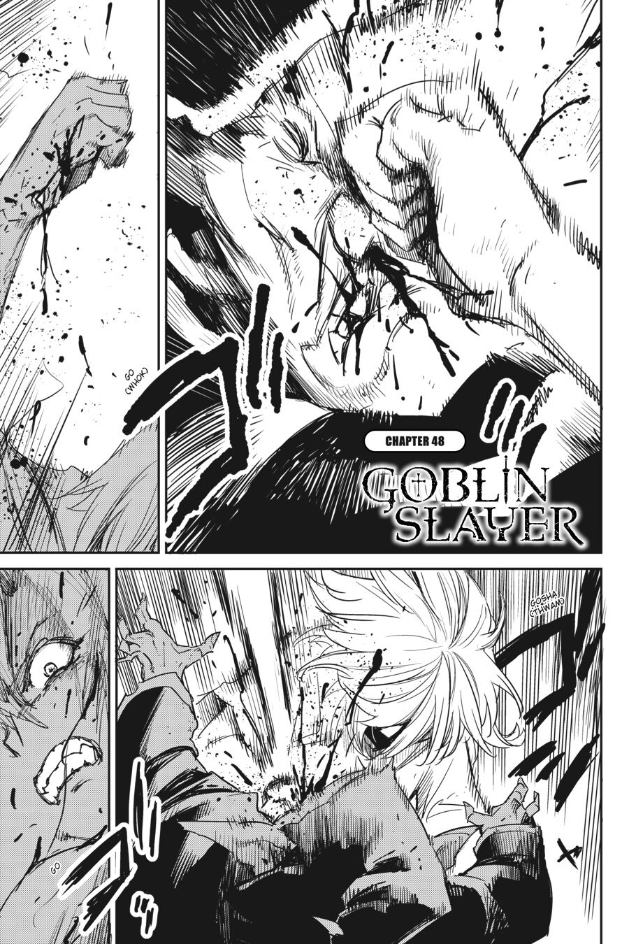 Tôi Chỉ Muốn Tiêu Diệt Goblin Chap 48 - Next Chap 49