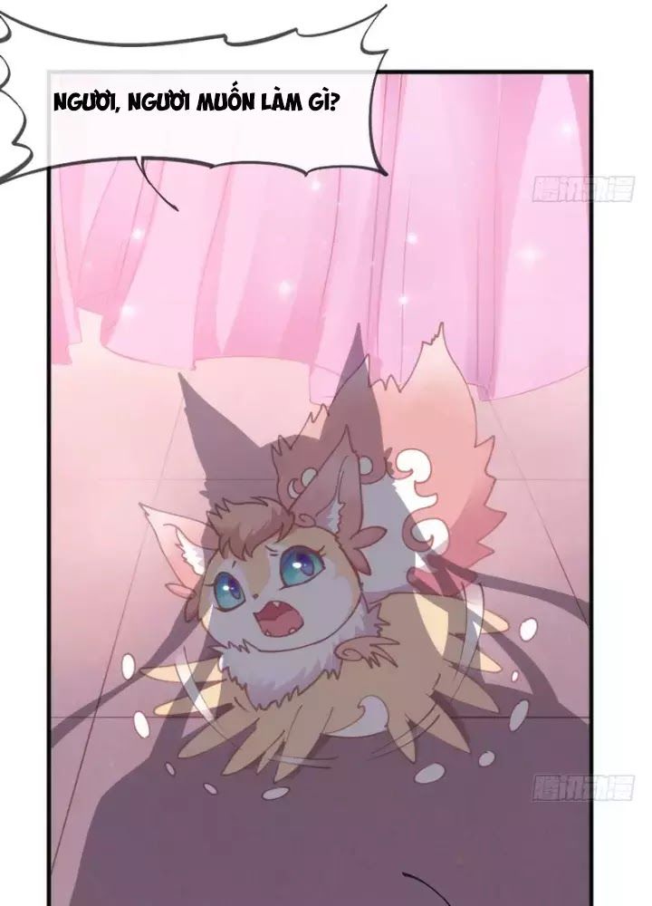 Giữ Chặt Tiểu Bạch Long Chap 60 - Next Chap 61