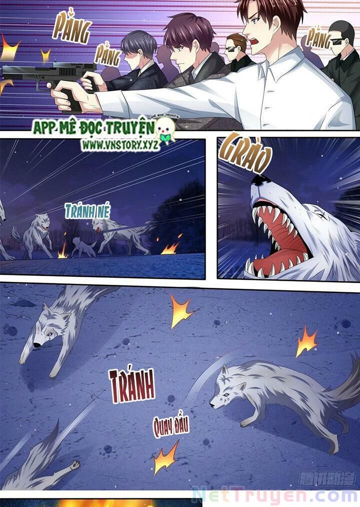 Cưng Chiều Vợ Yêu Chap 306 - Next Chap 307