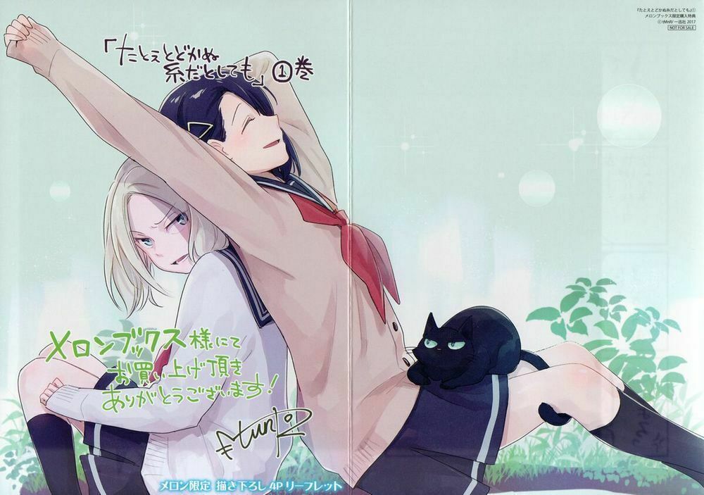 This Love That Won Reach Chap 39 - Next Chap 40