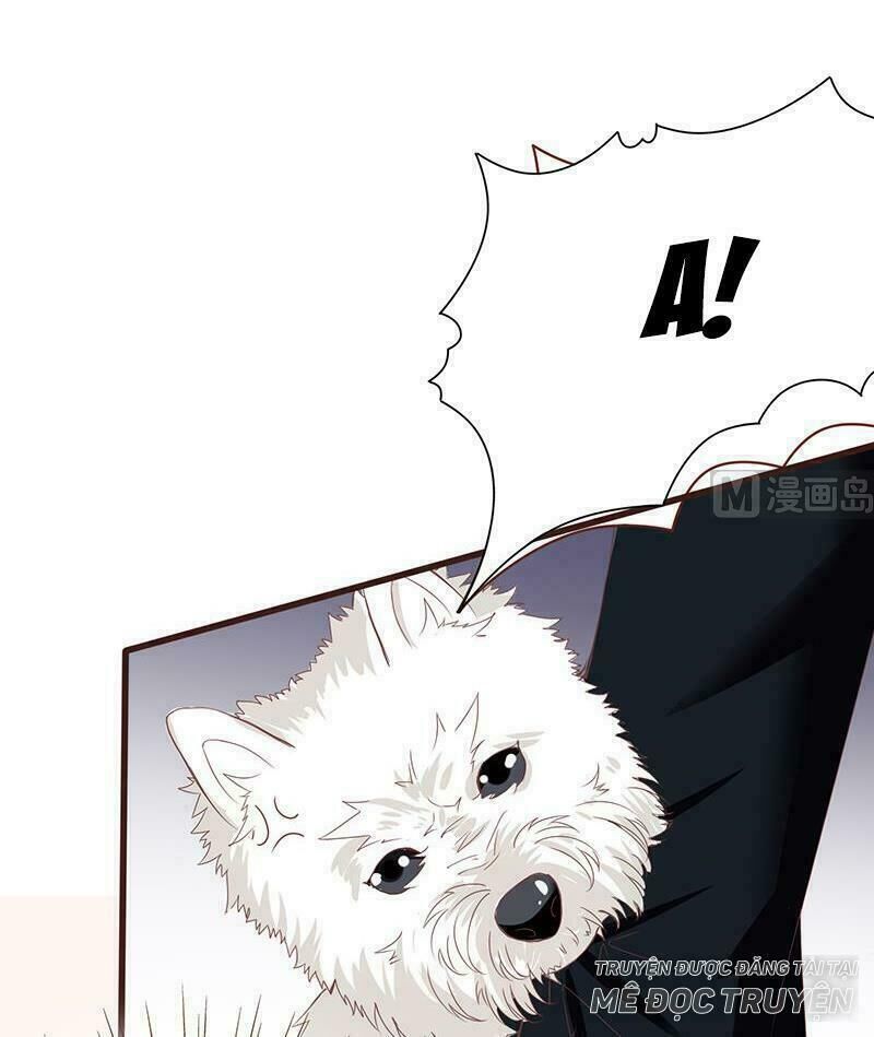 Quy Luật Tình Yêu Ở Mạt Thế Chap 10 - Next Chap 11