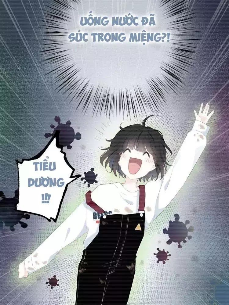 Vấp Phải Phản Quang Chap 3 - Next Chap 4