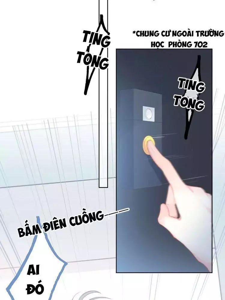 Vấp Phải Phản Quang Chap 3 - Next Chap 4