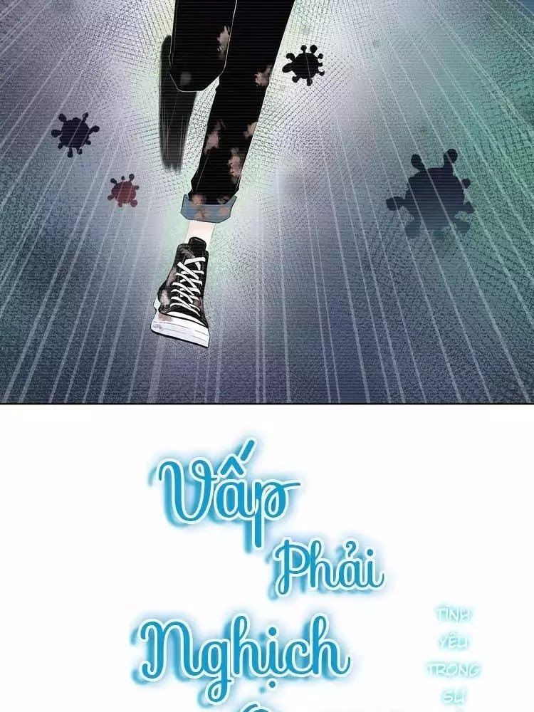 Vấp Phải Phản Quang Chap 3 - Next Chap 4