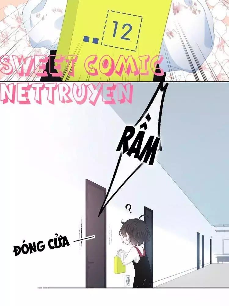 Vấp Phải Phản Quang Chap 3 - Next Chap 4