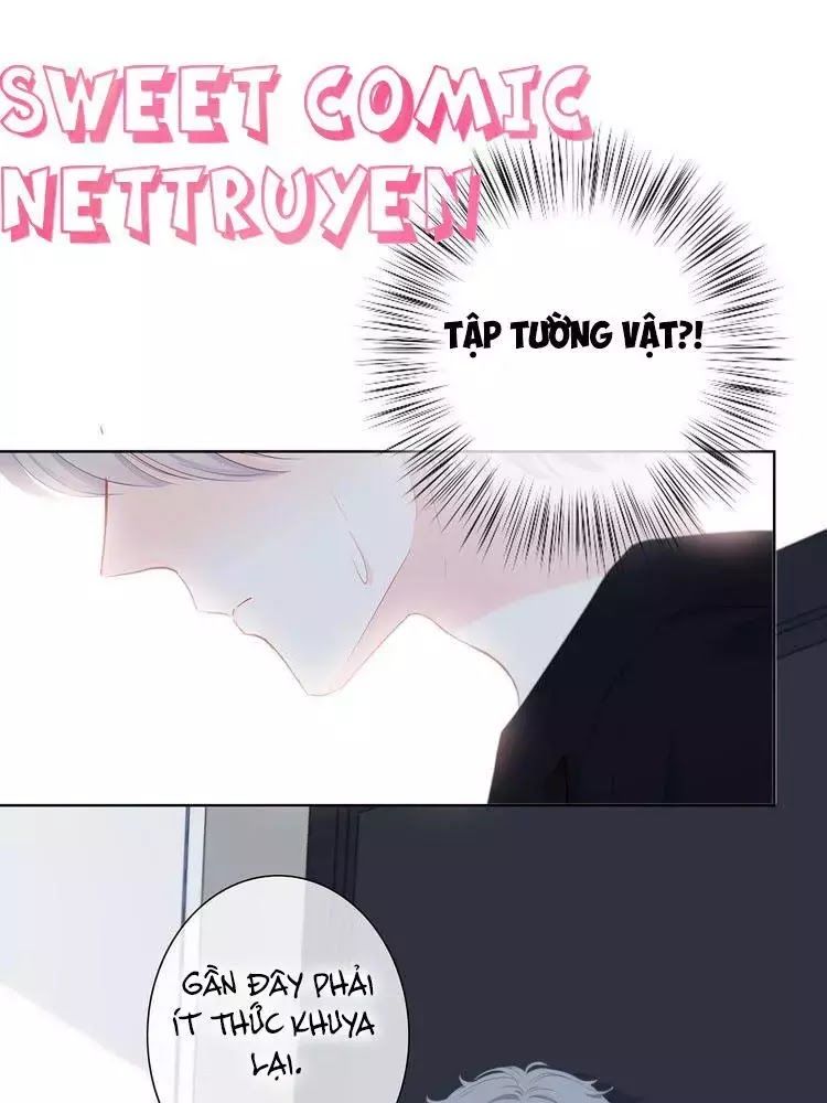 Vấp Phải Phản Quang Chap 3 - Next Chap 4
