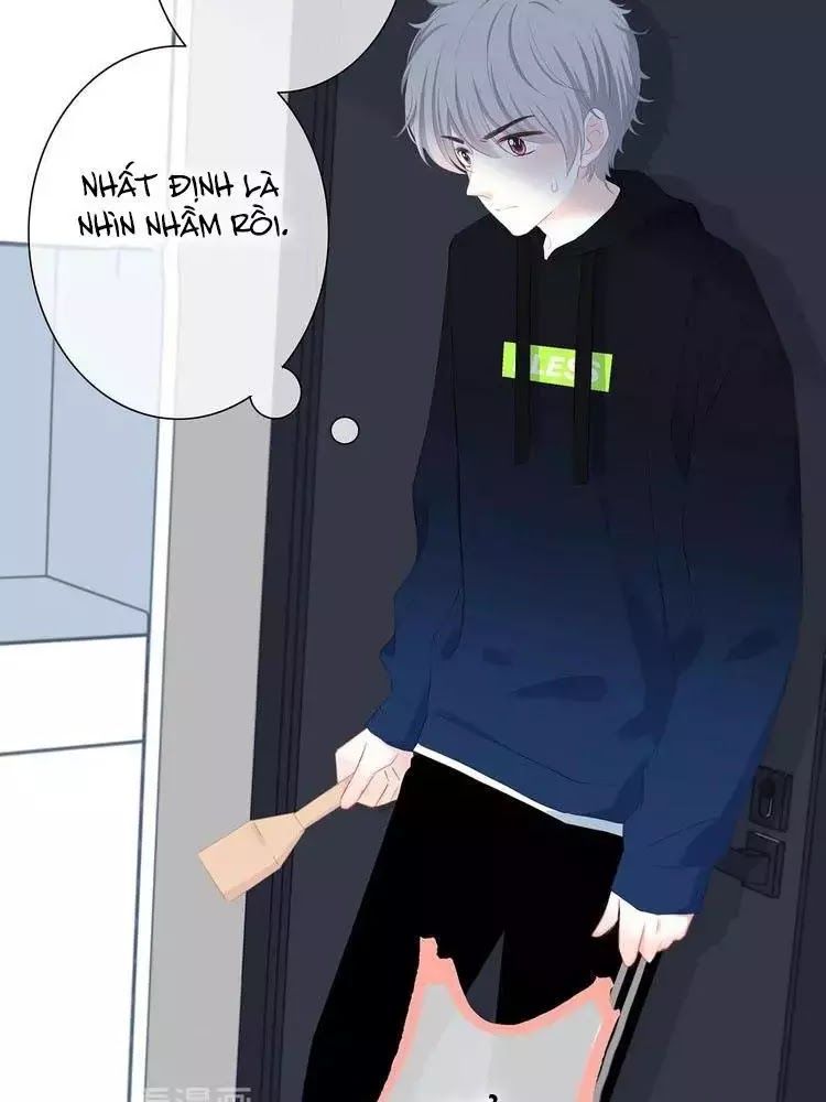 Vấp Phải Phản Quang Chap 3 - Next Chap 4