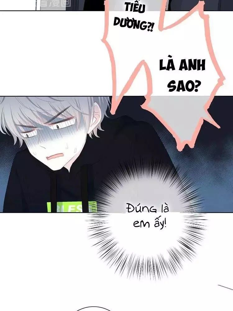 Vấp Phải Phản Quang Chap 3 - Next Chap 4