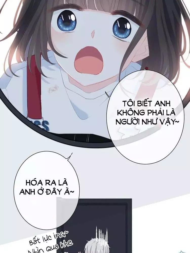 Vấp Phải Phản Quang Chap 3 - Next Chap 4