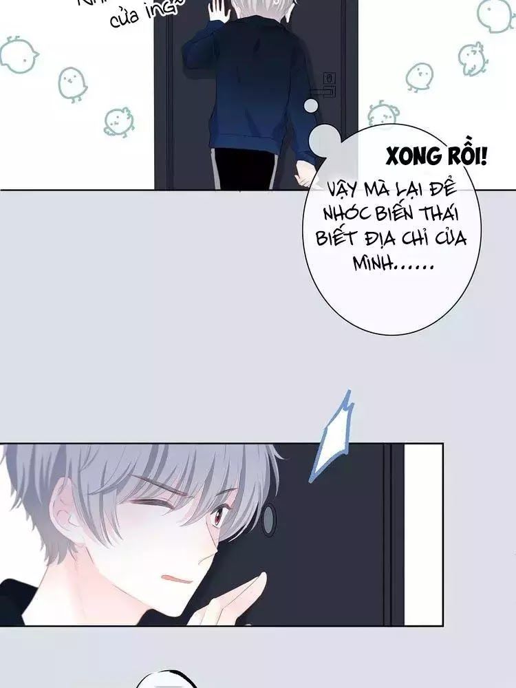Vấp Phải Phản Quang Chap 3 - Next Chap 4
