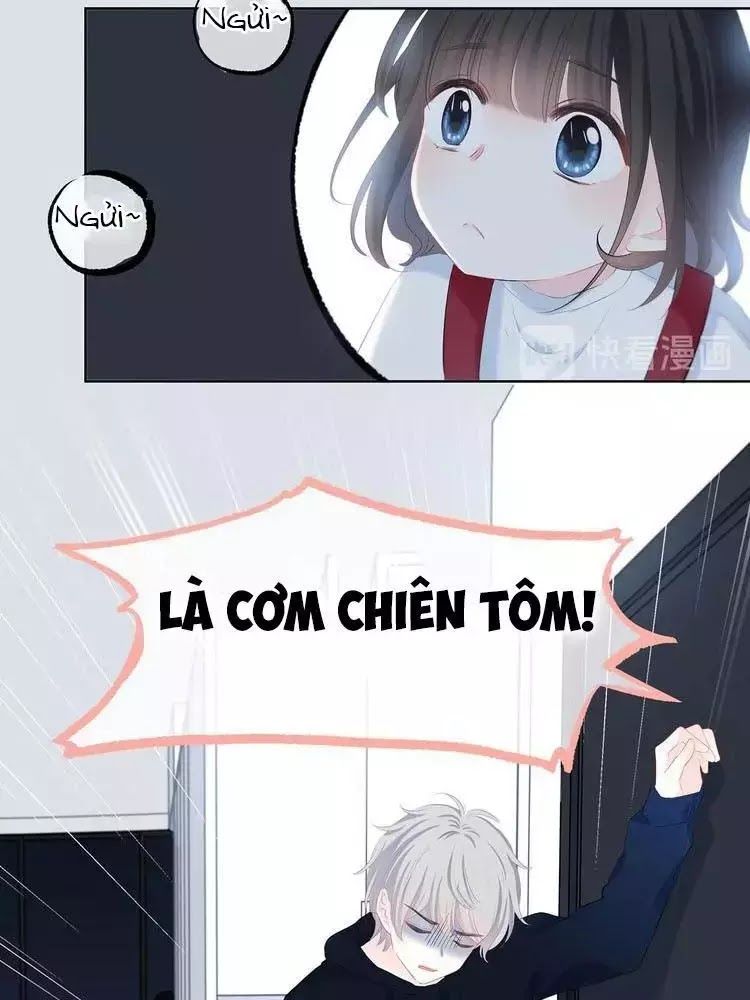 Vấp Phải Phản Quang Chap 3 - Next Chap 4