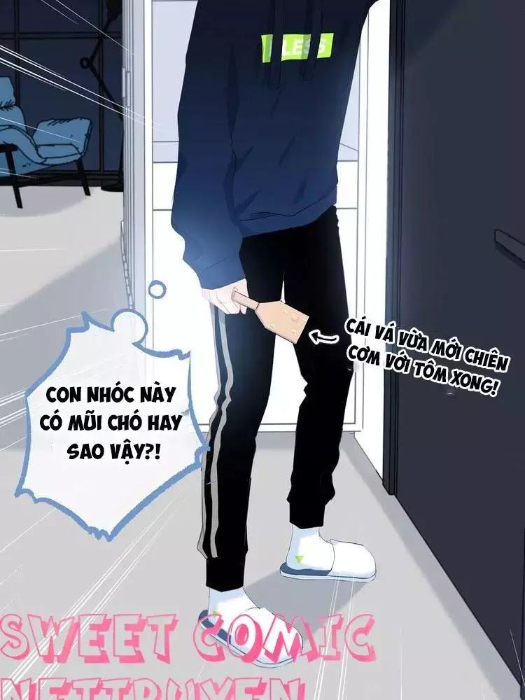 Vấp Phải Phản Quang Chap 3 - Next Chap 4