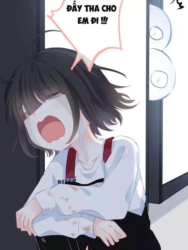 Vấp Phải Phản Quang Chap 3 - Next Chap 4