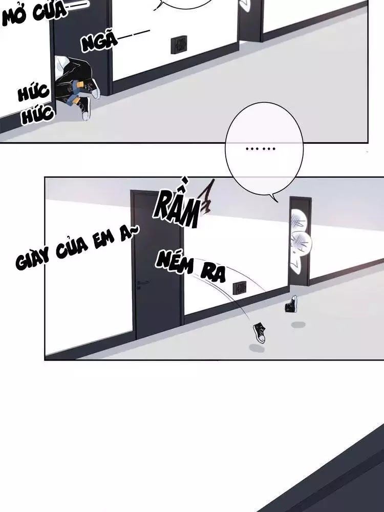 Vấp Phải Phản Quang Chap 3 - Next Chap 4